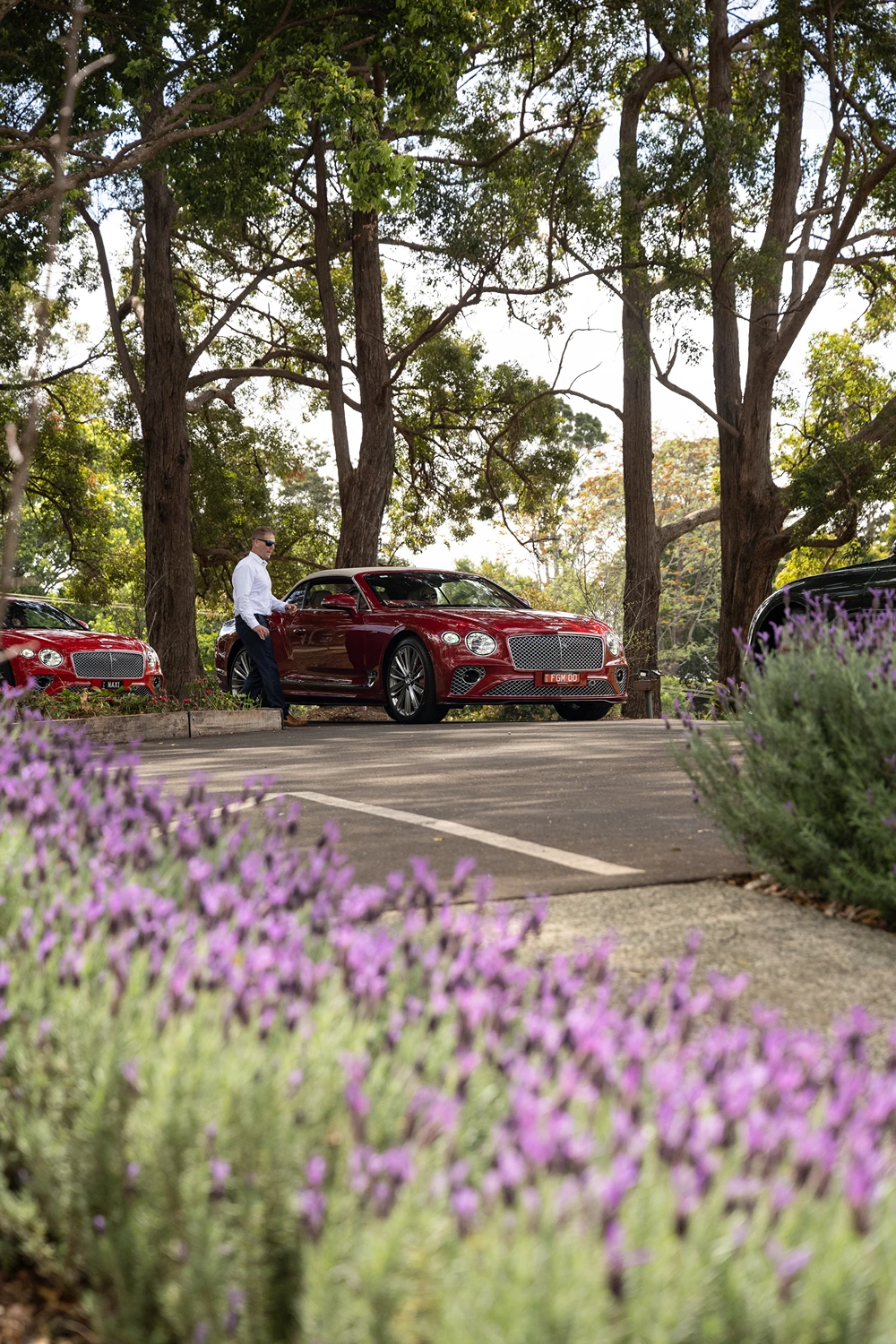 Luxury car arrival at VH Country Estate for a private retreat